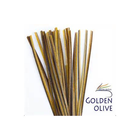 Hand Stripped Quill POLISHQUILLS Golden Olive