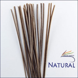 Hand Stripped Quill POLISHQUILLS Natural