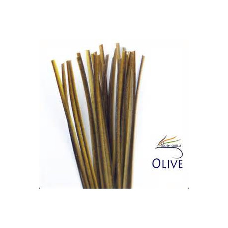 Hand Stripped Quill POLISHQUILLS Olive