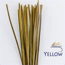 Hand Stripped Quill POLISHQUILLS Yellow