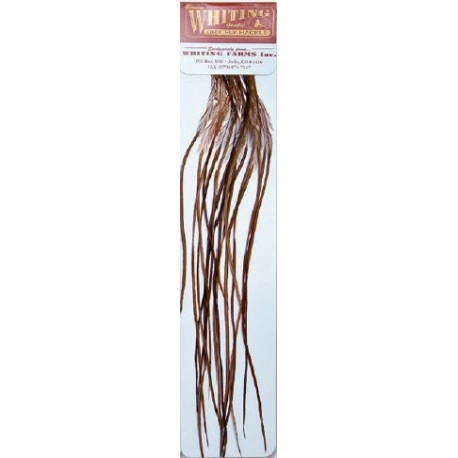 JMC microbarb whiting 100's red feathers