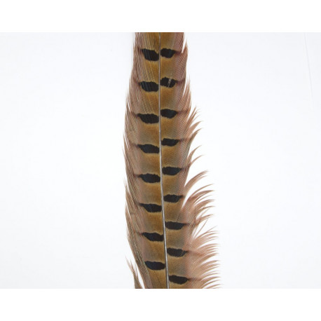 Plume de faisan mâle TRAUN RIVER Naturel