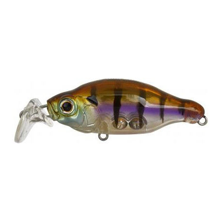 GAN CRAFT Bacra SR 25 Lure