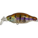 GAN CRAFT Bacra SR 25 Lure