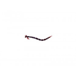 WESTIN Bloodteez 5.5cm Sweet plum