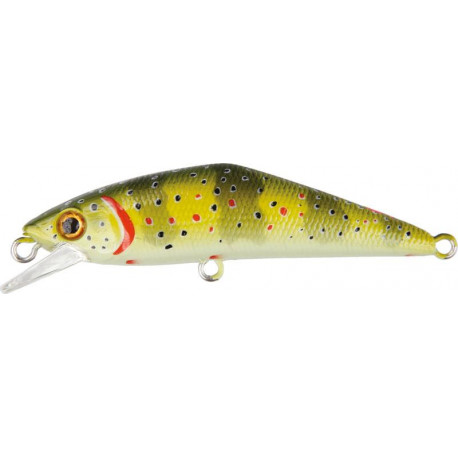 SMITH D-contact 50mm T1 lure