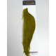 Cou de coq WHITING (1/2) American hackle XL Dark Olive