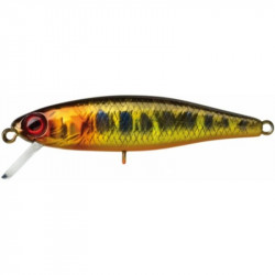 Leurre ILLEX Tiny fry 3.8cm SP Gold trout