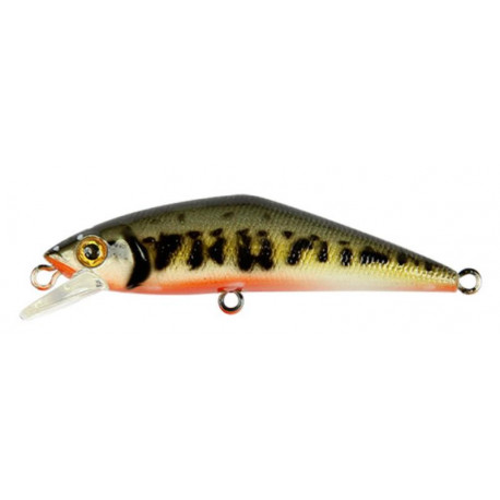 SMITH D-contact 63mm V1 lure