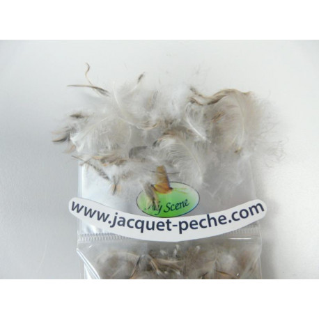 Flanc de canne Natural