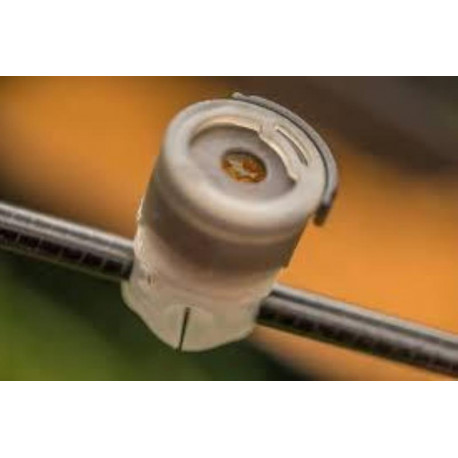 GURU scion cup Size Extra small