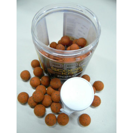 STARBAITS Scopex pop-ups