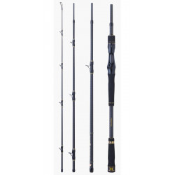 Canne HEARTY RISE Monster game 2m10 20-85gr