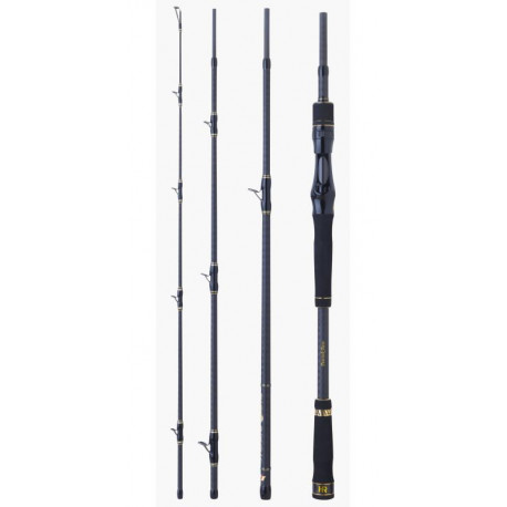 Canne HEARTY RISE Monster game 2m10 20-85gr