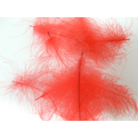 Cul de canard FLY SCENE Red