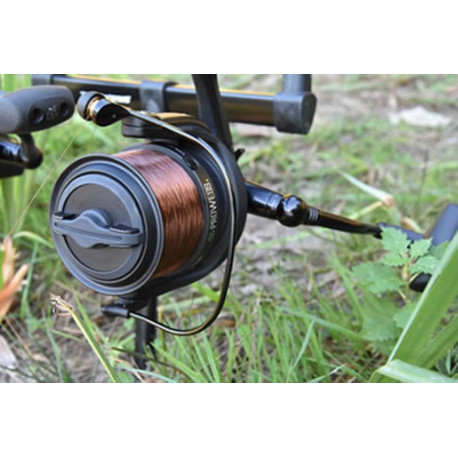 Moulinet PROWESS ADN Carp 6010