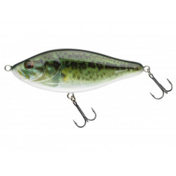 Leurre BIWAA Raffal 4 10cm Real bass