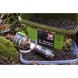 Session Pack CCMOORE Belachan