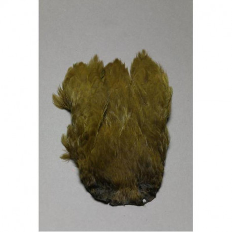 Hen necks FLY SCENE Olive