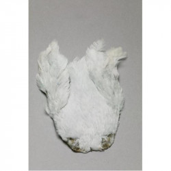 Hen necks FLY SCENE Blue Dun