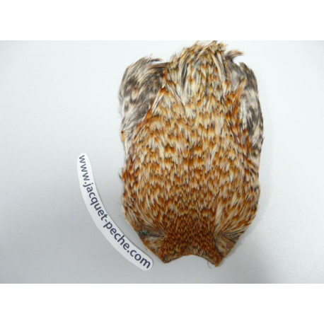 Cou de coq Indian FLY SCENE - AA Raye Brun