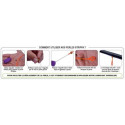 Perle Strippa FUN FISHING - Taille L - Violet