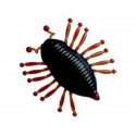 ILLEX Woodlouse 1.18'' Cherry coke