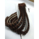 FLY SCENE striped rabbit headband Brown / Black