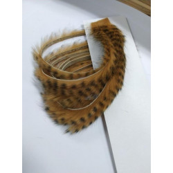 FLY SCENE striped rabbit headband Golden brown / Black