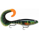 Leurre RAPALA X-RAP OTUS 17cm Live perch