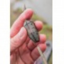 PRESTON Ics in-line maggot feeder - Large 30Gr