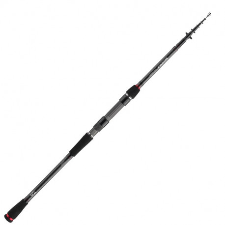 DAIWA Ballistic X 2m40 8-35gr