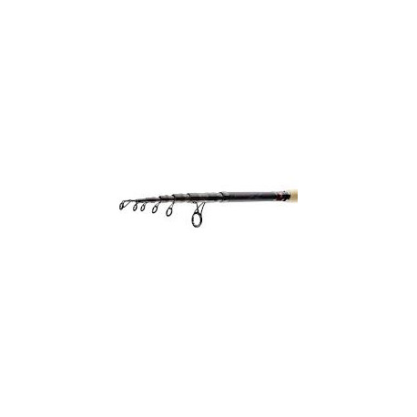 Canne DAIWA Ninja 2m40 10-30gr