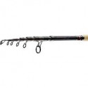Canne DAIWA Ninja 2m40 10-30gr