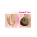 FUN FISHING paste spring, 15 pcs.