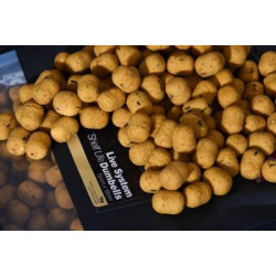 Dumbell 10x15mm CCMOORE Live system - 1Kg