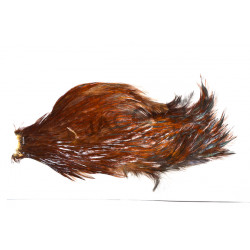 Cou de coq Indien Top Grade Mouche de Charette -01 Roux