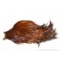 Cou de coq Indien Top Grade Mouche de Charette -01 Roux