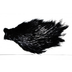 Cou de coq Indien Top Grade Mouche de Charette -08 Noir