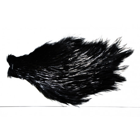 Top Grade Indian Rooster Neck Charette Fly -08 Black