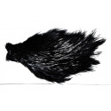 Cou de coq Indien Top Grade Mouche de Charette -08 Noir