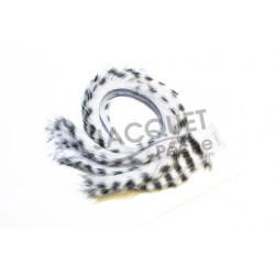 Bandelette de lapin Pike Monkey Blanc Chartreuse 5mm