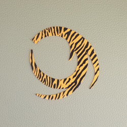 PACCHIARINI'S Dragon Tails XL Orange Fluo barred