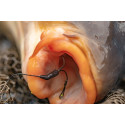 Flippas FOX Tungsten - Hameçon de 10 à 7