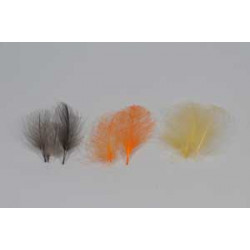 Cul de canard FLY SCENE Black