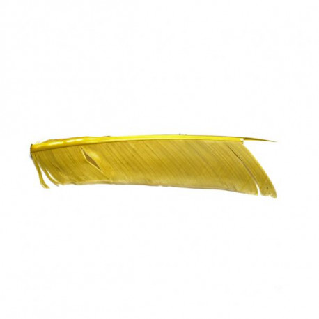 Condor Fly Scene Light Olive substitute