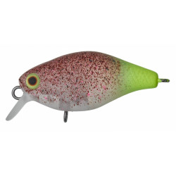 Leurre ILLEX Chubby 38F Area 38mm UV Secret shrimp