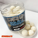 Pop up STARBAITS PRO Squid Pepper 20mm