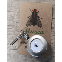 Bouton de Service Muska Ave fil Métalique Téssé