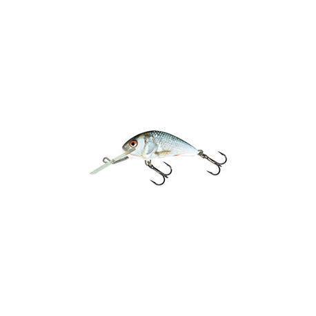 SALMO Hornet 4cm COULANT Real Dace